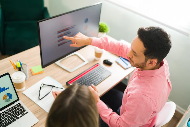 MLM Software Development Process